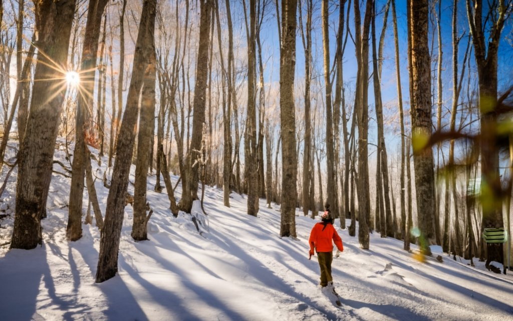 5 Melhores Destinos Próximos a Orlando, Dicas de Hospedagem, Viagem de Carro e Diversão na Neve