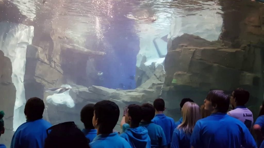 Festa do pijama no SeaWorld